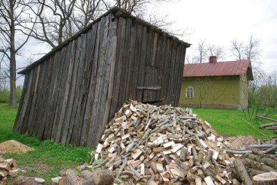 Zalenieki