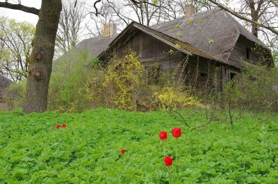 Augstkalne area