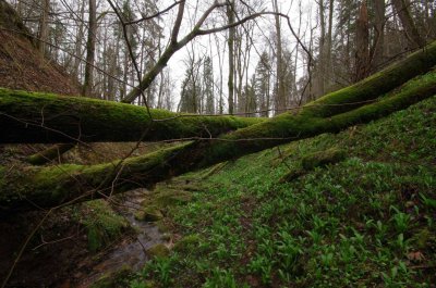 Slitere National Park