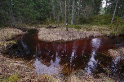 Slitere National Park