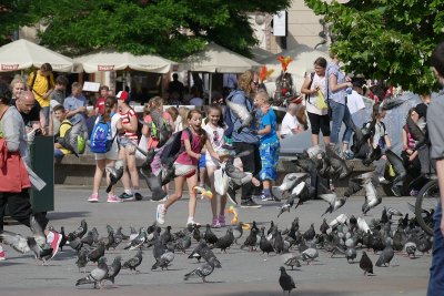 Krakow