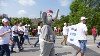 Saldus Town Festival 2016