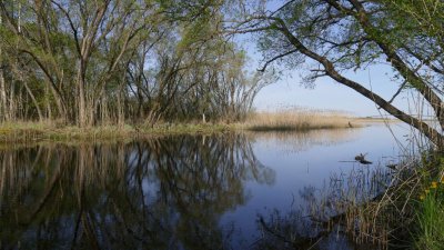 Lielais Ludzas ezers (lake)