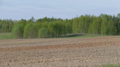 Ludza area