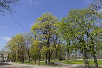 Arkadijas parks