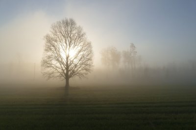 Nature of Latvia 2016