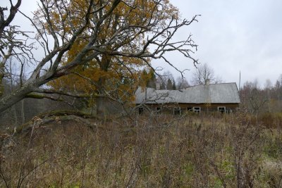 Rakupe meadows
