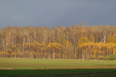 North of Talsi