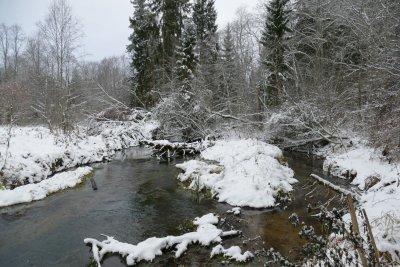 Vaive