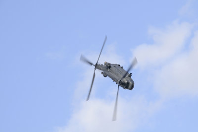 Chinook 2.jpg