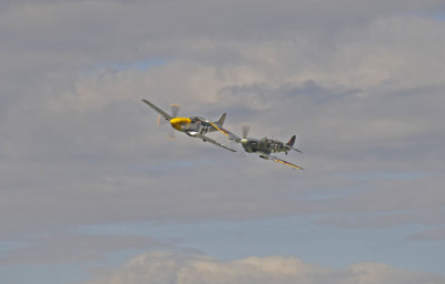 Mustang with Spitfire.jpg