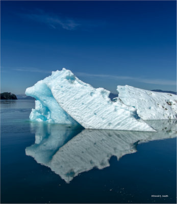 Iceberg Tracy Arm Alaska
