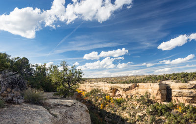 Mesa Verde House, CO