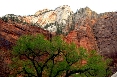 Zion National Park