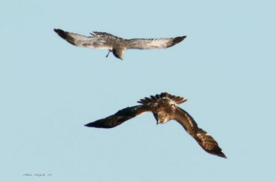 rencontre