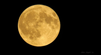 Lune des moissons \ Harvest moon