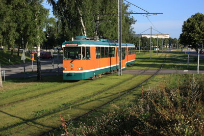 Trams in summer