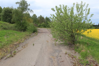 b_1196.JPG