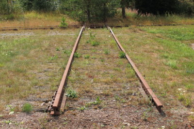 b_1556.JPG