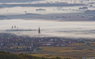 Vue sur Bergheim
