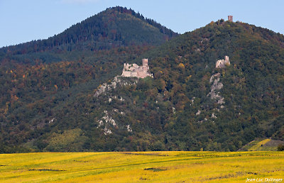 Les trois chteaux de Ribeauvill