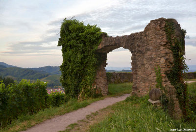 Ruine du chteau Schauenbourg