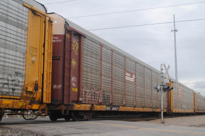 981877