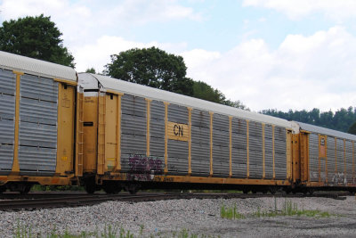 504428