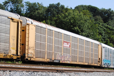 800655