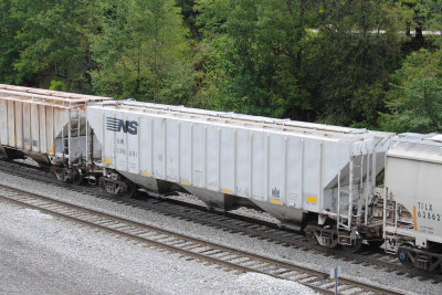 176491