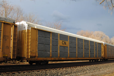 504139