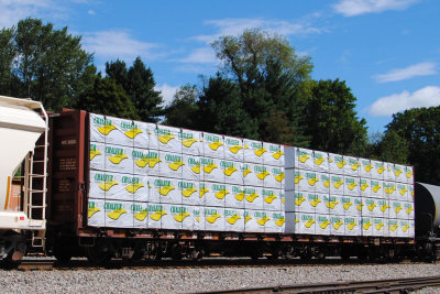 38203