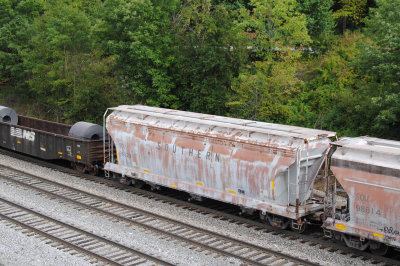 99529
