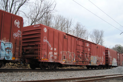 621567