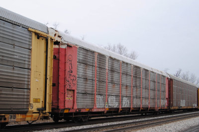 516031