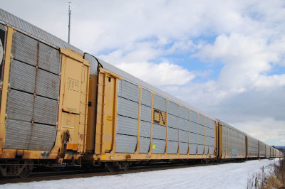 504259