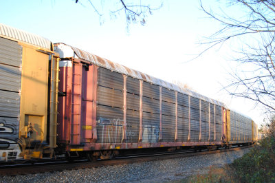 516343