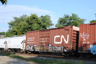 406447