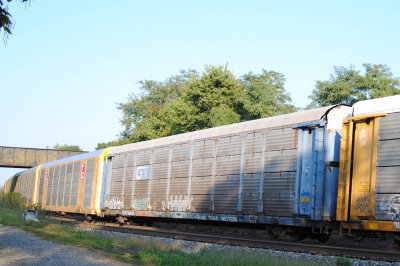 504316