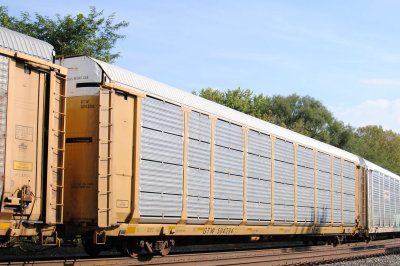 504394