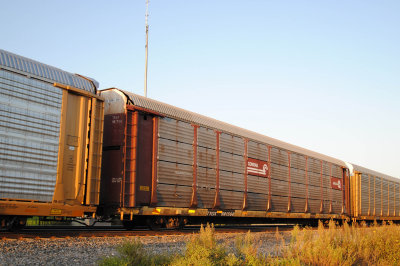 981566