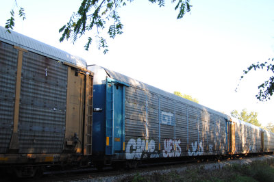 504264