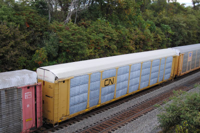 504278