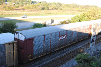 980033