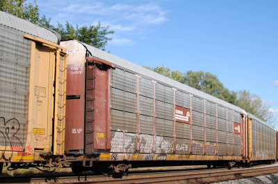 981519