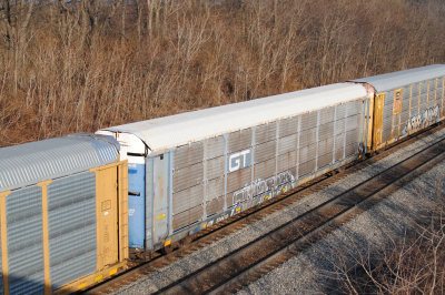 504419