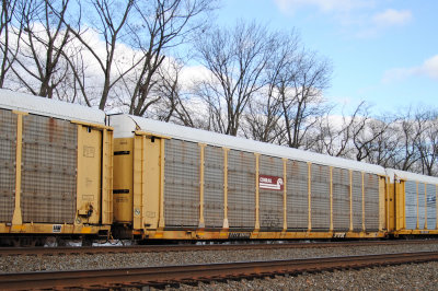 850116