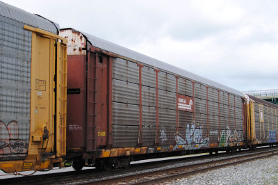 156517