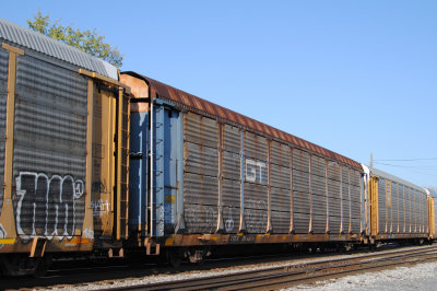 254876