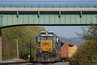 D789 - Brunswick,MD